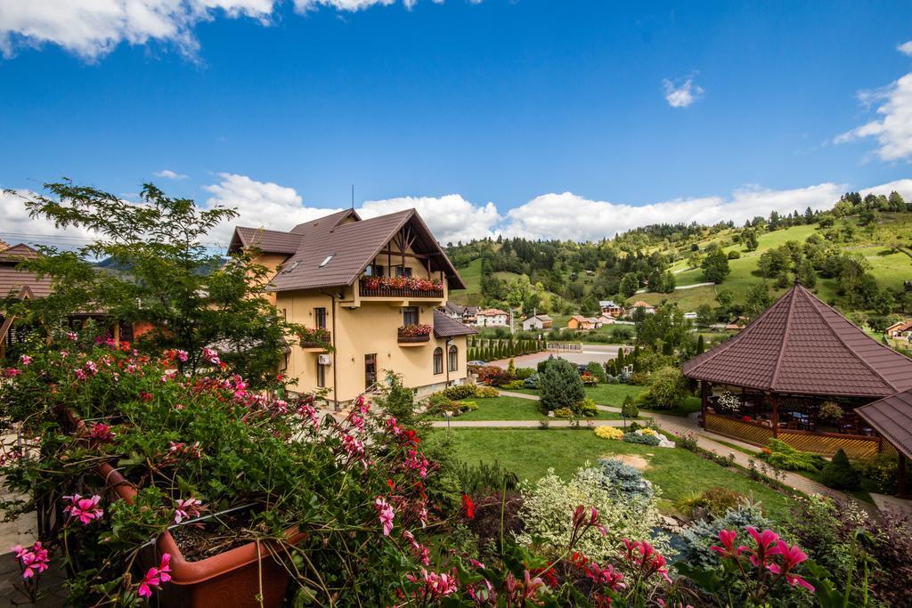 Hôtel Dor De Munte à Sadová Extérieur photo